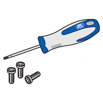 Big Kaiser S3508DS Insert Screw Set, FCM/FCR32-100 T15 (Pkg. of 10)