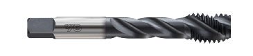 YG - 1 B0082 2 FLD SPIRAL FLD MOD BTM S/O FOR SS UPTO 28HRc 2 56 H2 YG Tap INOX - WesTorque